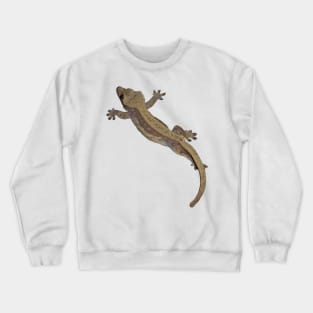 crested gecko Crewneck Sweatshirt